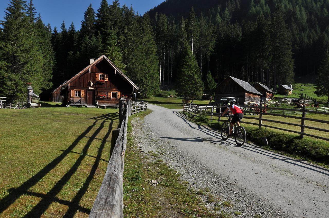 Chalet Chaletdorf-fanningberg Weisspriach