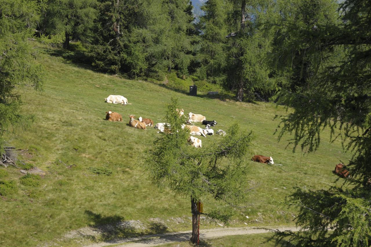 Chaletdorf-fanningberg Weisspriach