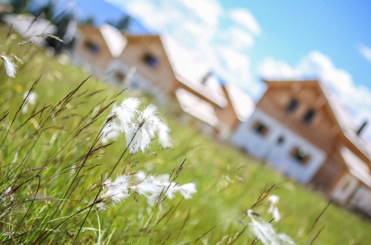 Chalet Chaletdorf-fanningberg Weisspriach